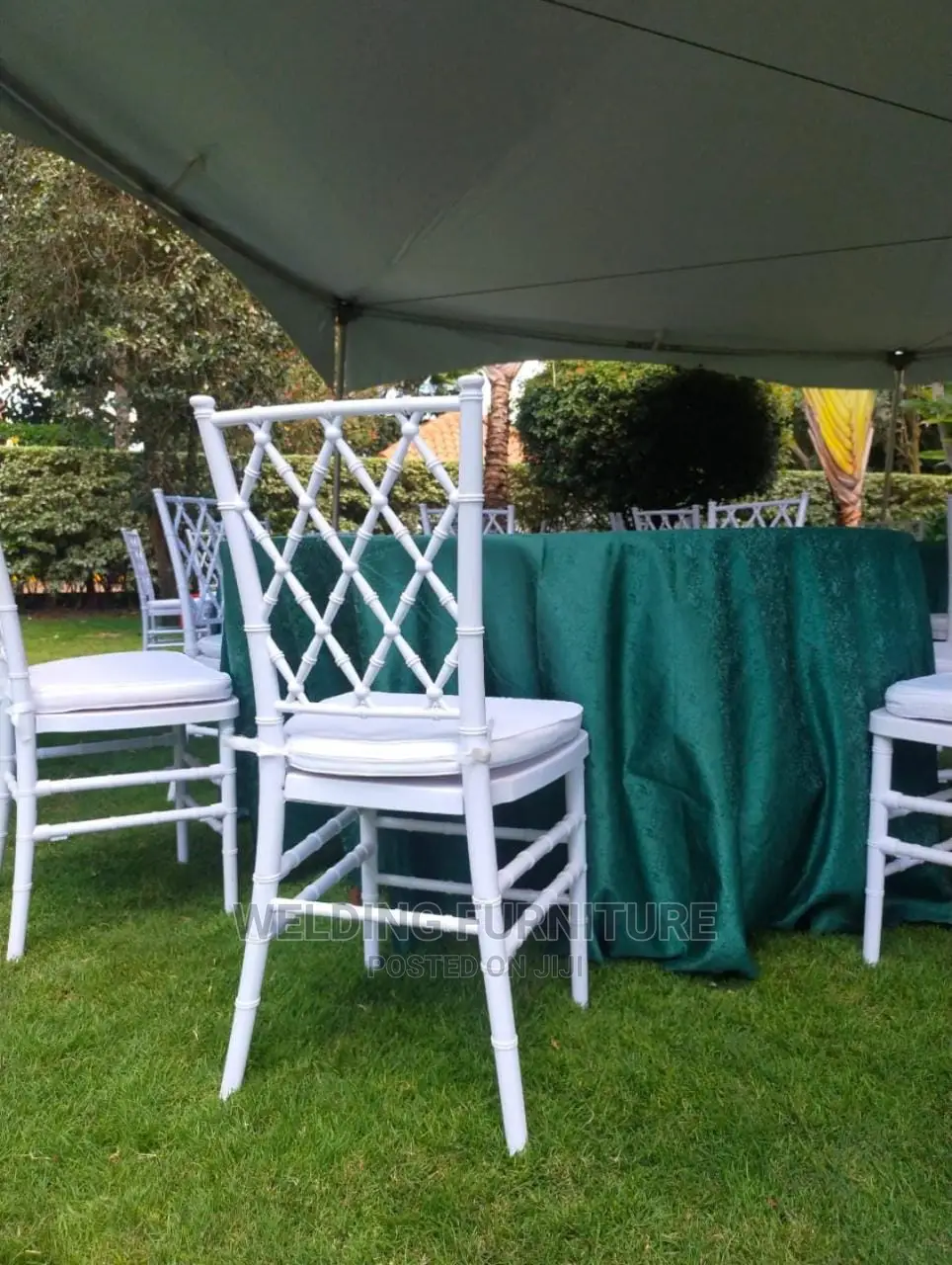 Dinning Chairs