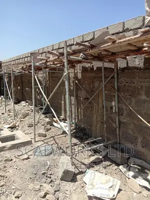 Experts Hire Our Scaffolds