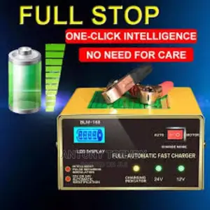 Car Battery Charger E Rickshaw Battery Charger Motorcycle