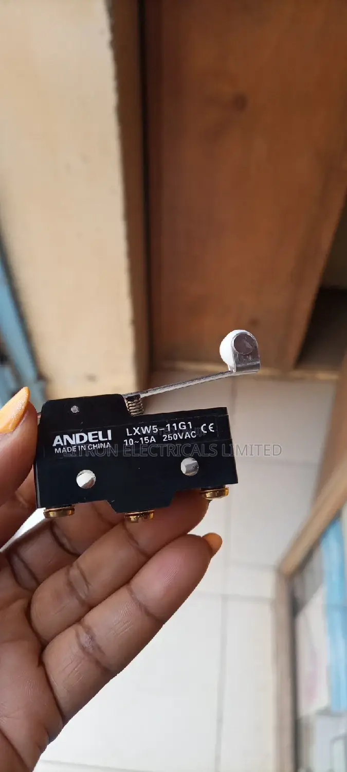 Micro Limit Switch 10A