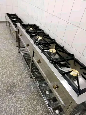 Gas Cooker Stainless Steel
