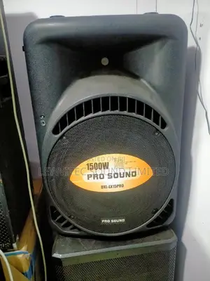 Pro Sound 15 Inch Speaker
