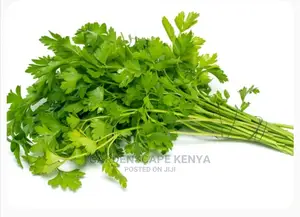 Coriander Seeds