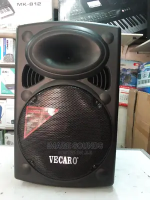 Powered Speaker 12"- Vecaro