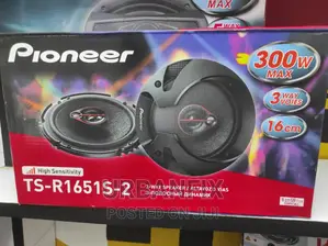 Pioneer 6 Inch Door Sepakers