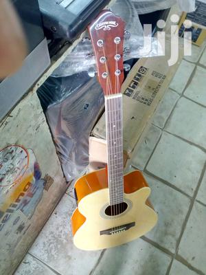 Semi Acoustic Guitar