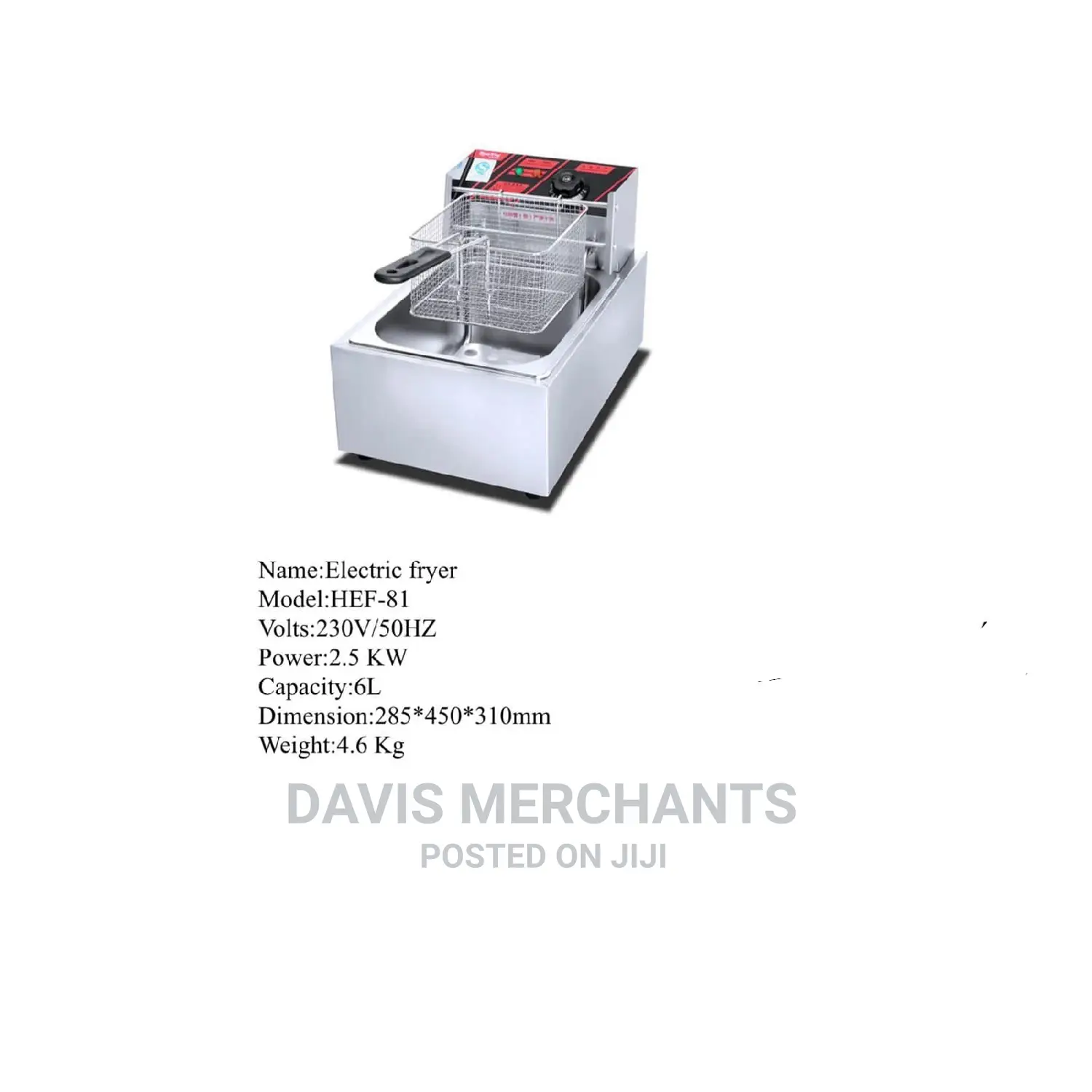 Electric Deep Fryer