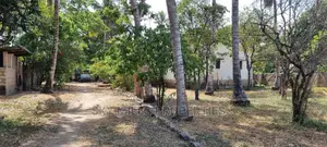 A Farm of 6 Acres on Sale at Mtwapa Animo