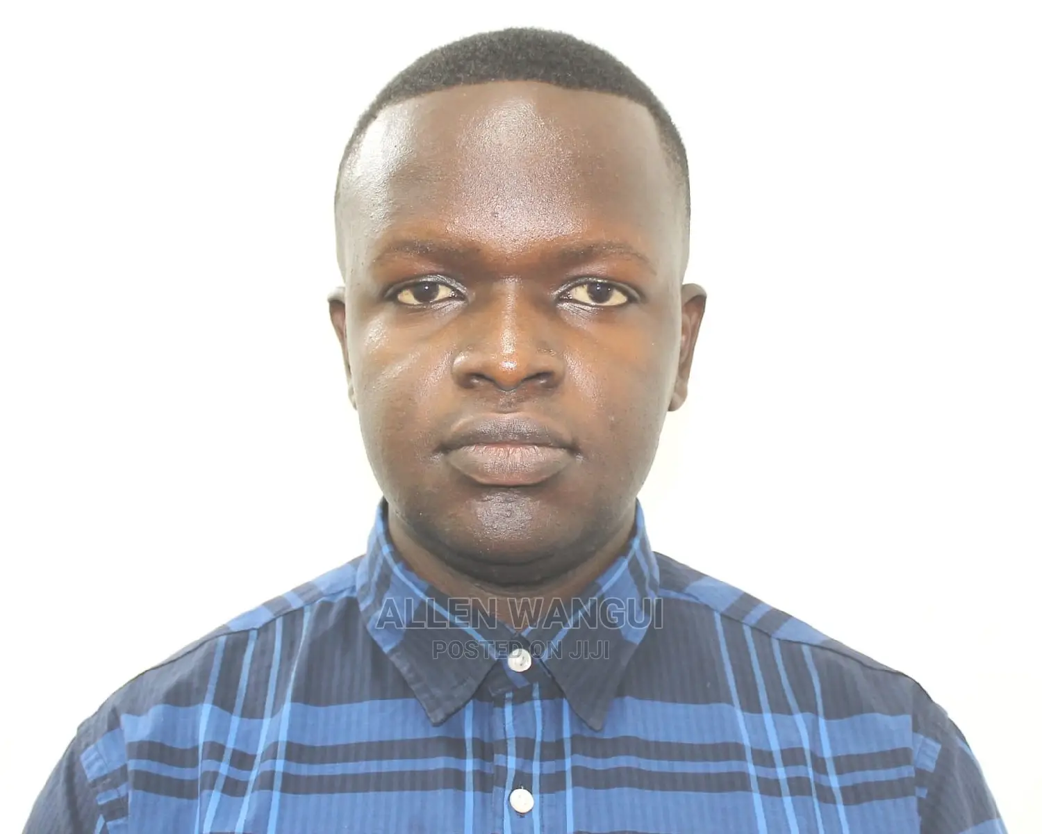 It Engineer, QA Specialist and Operations Manager
