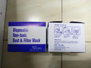 Disposable Filter Masks Restocked