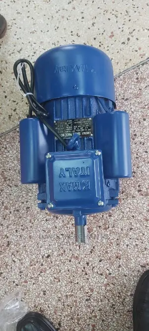 3 HP Low Speed Electric Motor