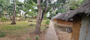 Cultural Self-Contained Huts Available for Short Term Rental
