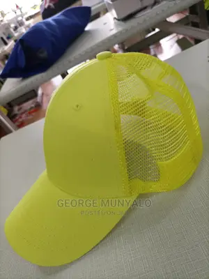 Official Plain Campaign Caps