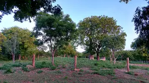 Diani Prime Quarter Acre Plots on Sale