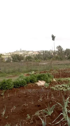 2 Acres Kamandura. PCEA Church Side
