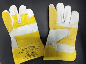 Buy Leather Gloves-Both Long and Short