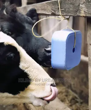 Mineral Livestock Block Cattle Fattening 5 Kg