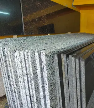 Granite(Variety)2400x600mm