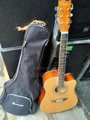 Semi Acoustic Guitar And Bag