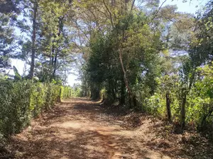 Karatina Ruthagati 5.5 Acres