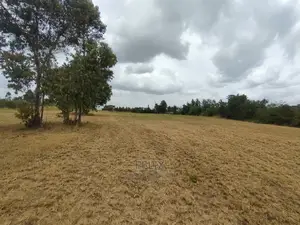 Nanyuki/Mirera 6.5 Acres Touching Main Tarmac