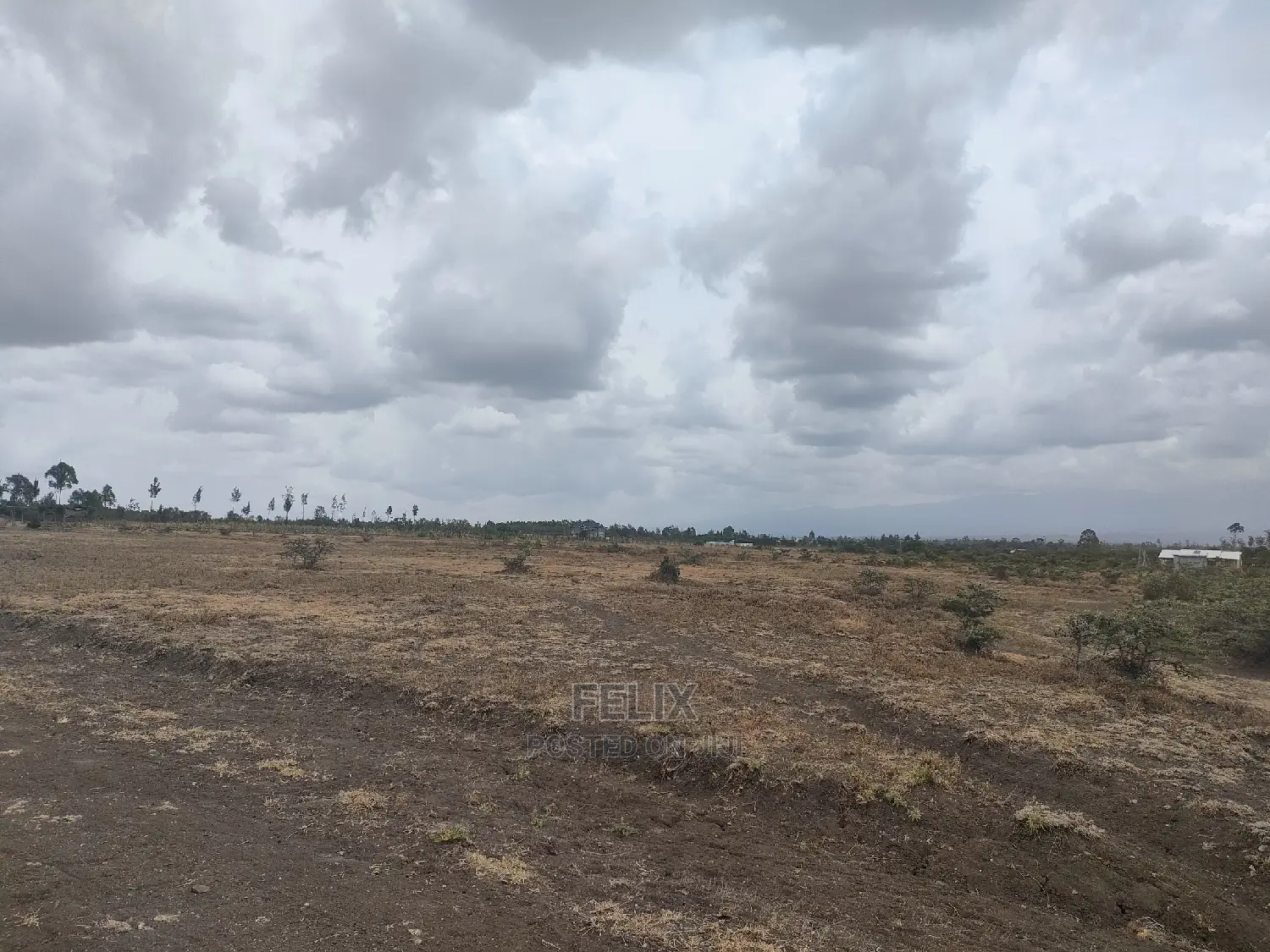 3 Acres Nanyuki/Mirera