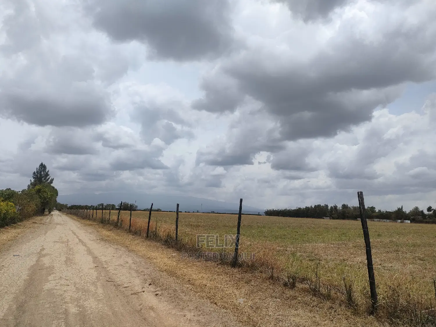 3 Acres Nanyuki/Mirera