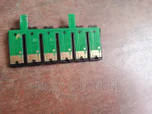EPSON Ink Chips