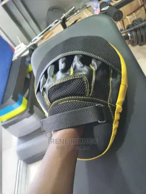 Boxing Pads, a Pair