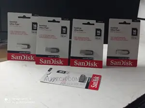 Flash Disk