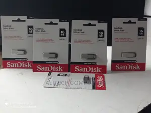 Flash Disk