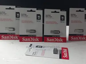 Flash Disk