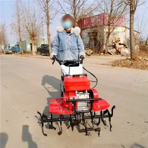 Micro Tiller Display
