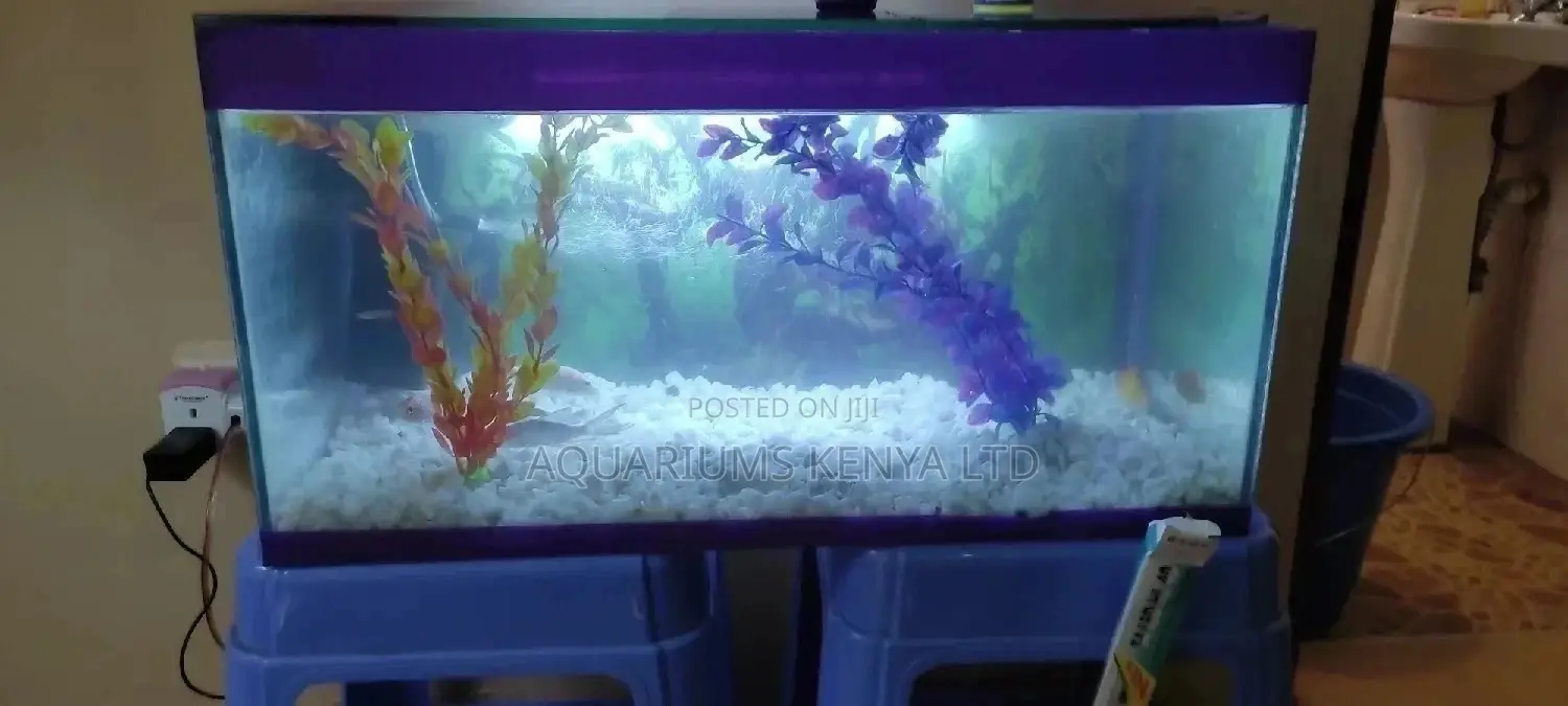Fish Aquarium With Fish,Complete