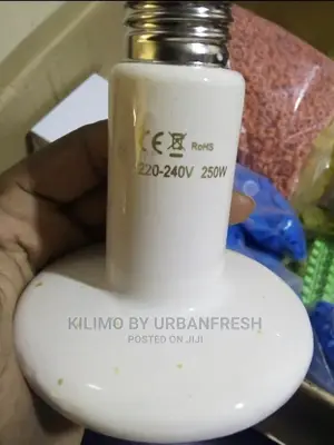 200 Watts Ceramic: 1 Bulb Ceramic Holder = 100 Chicks.