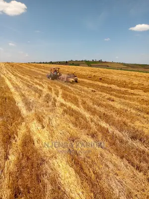 Barley and Wheat Straws