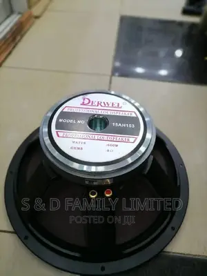Derwel 15AH153 15 Inch Naked Speaker