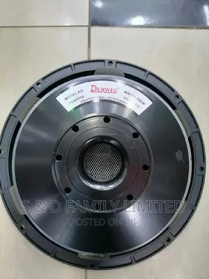 Derwel 15AH210 15 Inch Naked Speaker