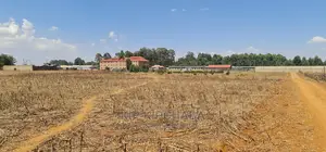 Commercial Plots for Sale in Kimumu Eldoret.
