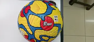 Nike Flight Premier League Winter Ball