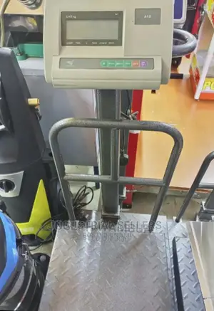 Modern A12 150kgs Weighing Scale With Grill