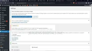 Wordpress Developer