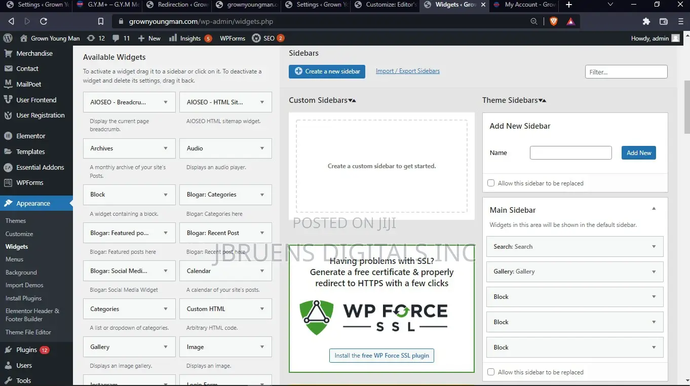Wordpress Developer
