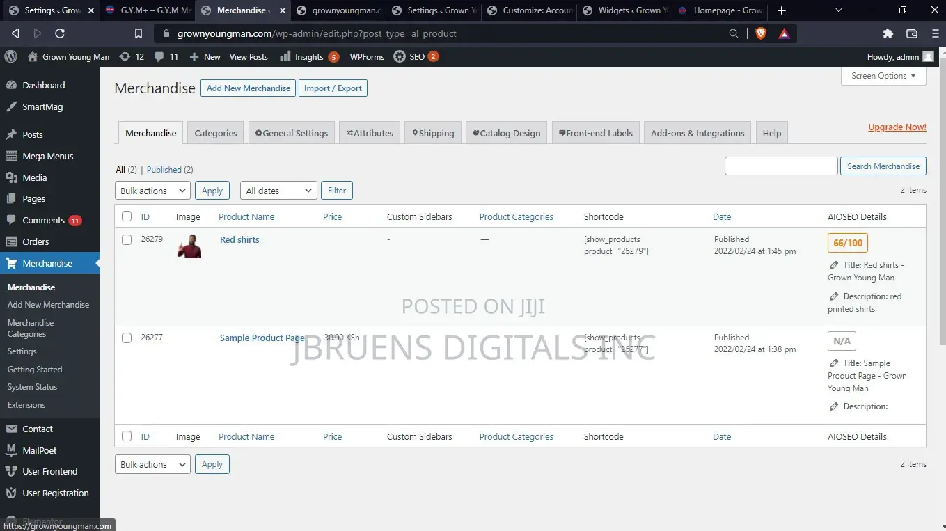 Wordpress Developer