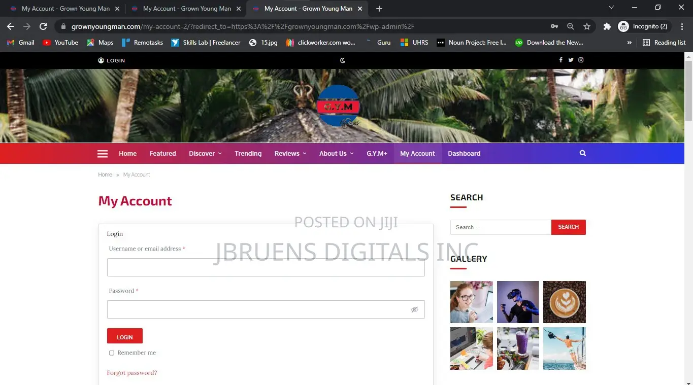 Wordpress Developer