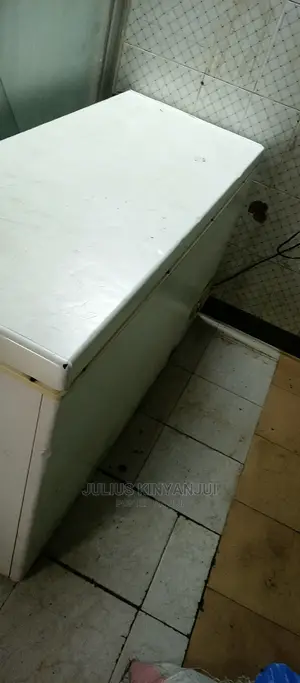 Deep Freezer 500L