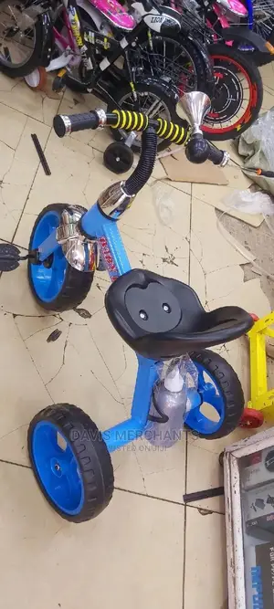 Tricycle for Kids