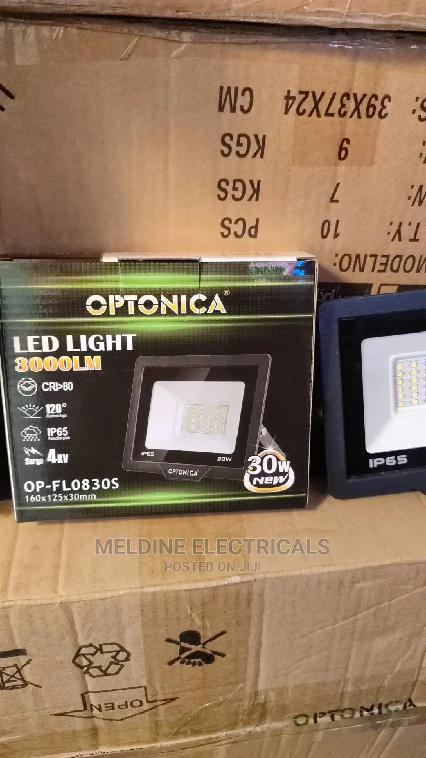 30watt AC Floodlight
