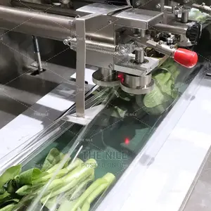 Fruit and Vegetable Machine Pack
