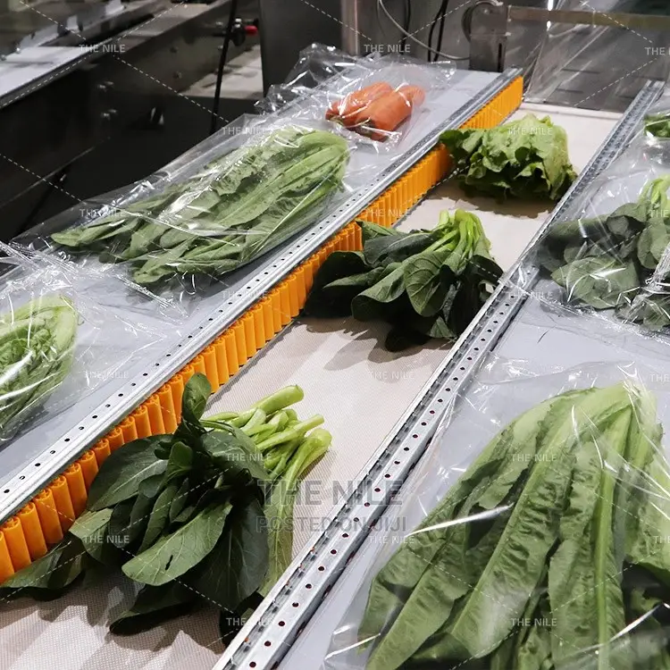 Fruit and Vegetable Machine Pack